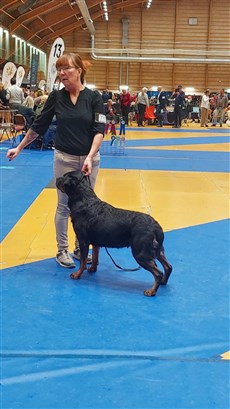 Karma V&auml;xj&ouml;